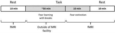 Variance and Scale-Free Properties of Resting-State Blood Oxygenation Level-Dependent Signal After Fear Memory Acquisition and Extinction